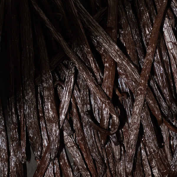 Gourmet Short Indonesia Vanilla Beans - For Extract