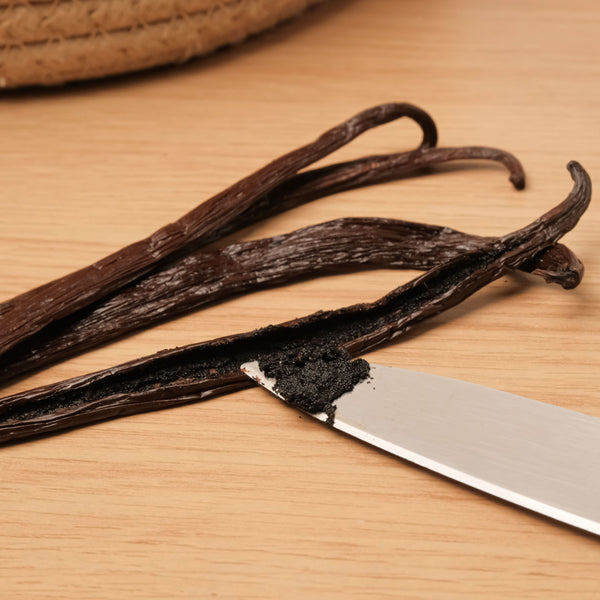 Gourmet Short Indonesia Vanilla Beans - For Extract