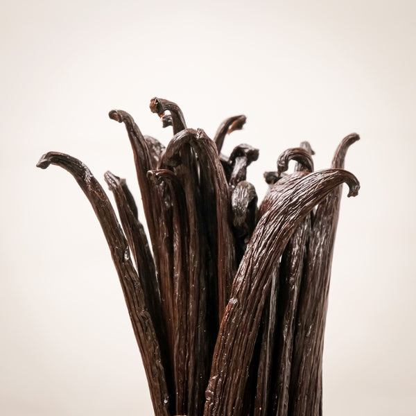 Gourmet Tahitensis Vanilla Beans from Papua New Guinea