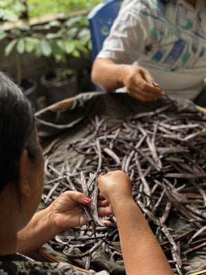 Why Maison Vanilla’s Products Are Perfect for Home Cooks and Baking Enthusiasts